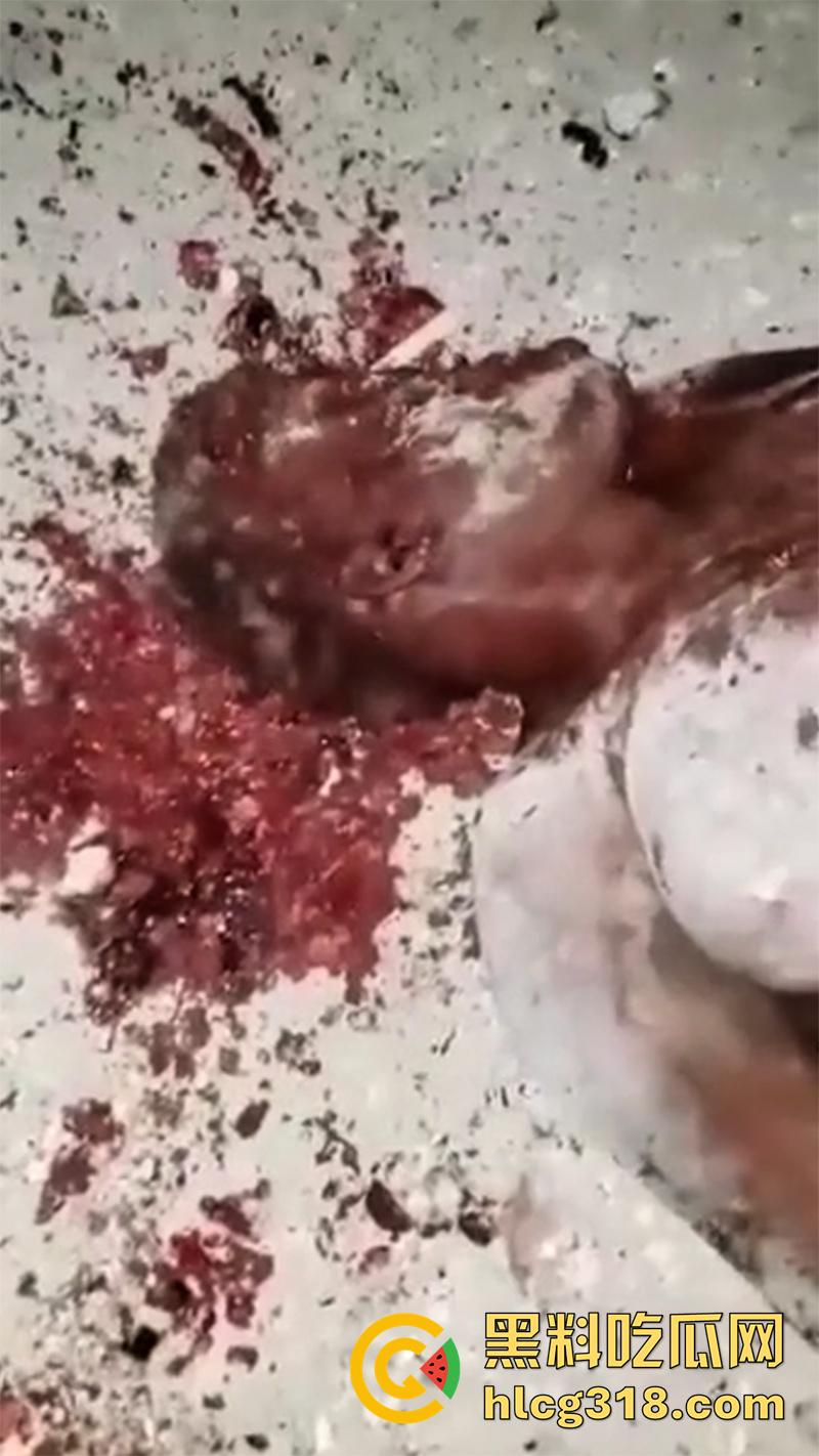 非洲大奶黑妹被砍断双手,棍棒砸扁头杀害后,被一群男子当场分尸割肉,还有人拿棍捅逼,真变态啊!