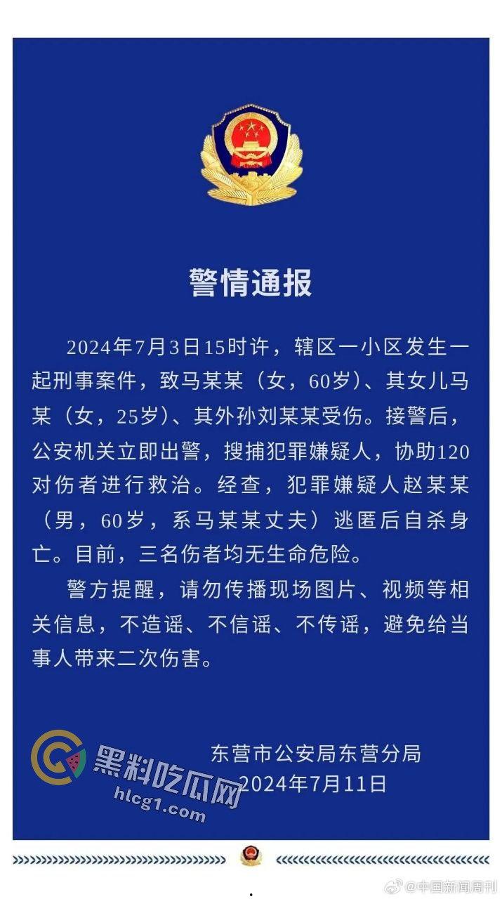 山东东营丈夫持斧砍伤妻子及两孩子后畏罪自杀,7月11日通报引发热议