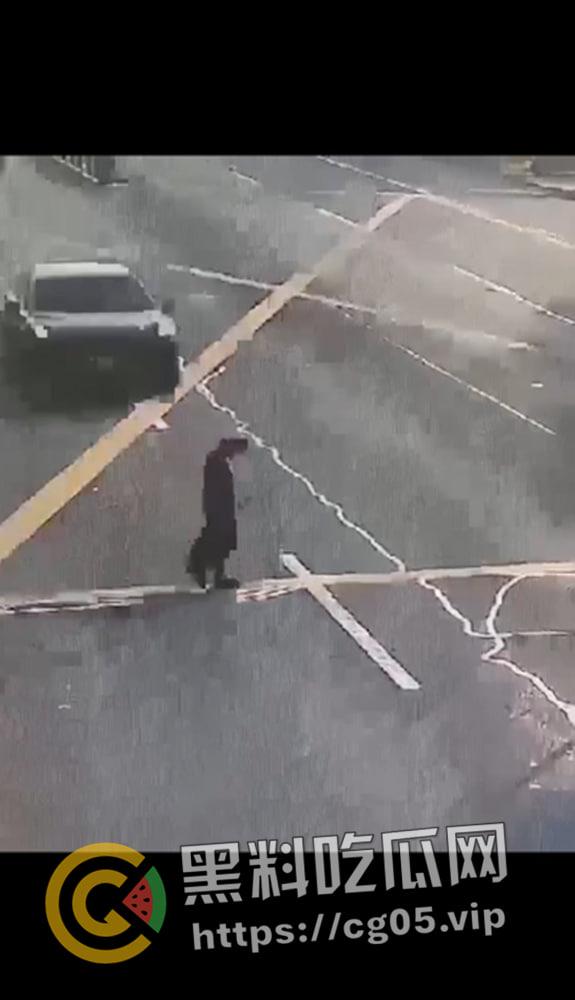 浙江极氪001撞死横穿马路路人 人头分离 整个脑浆撞出来了 现场血腥画面报告