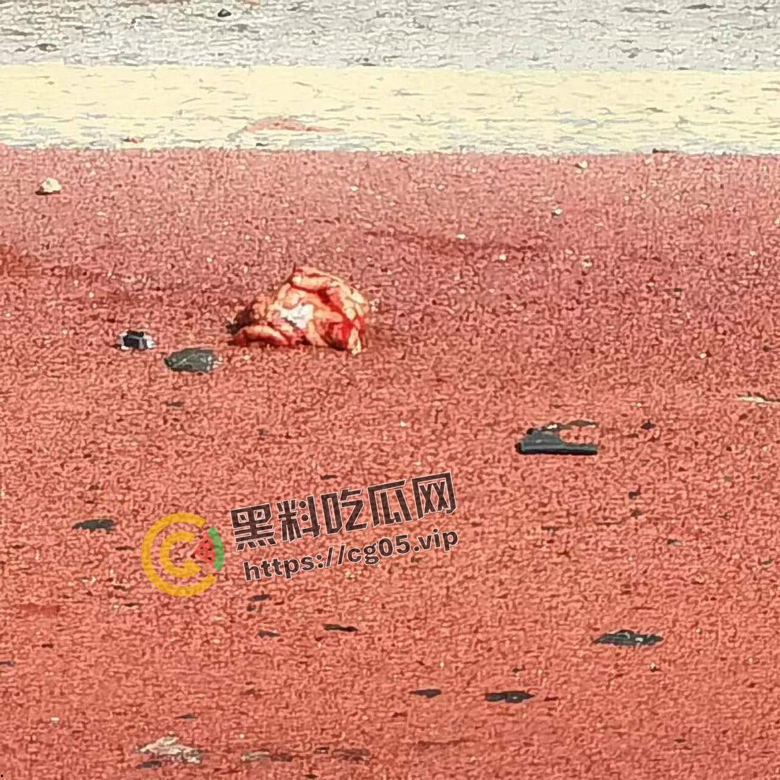 浙江极氪001撞死横穿马路路人 人头分离 整个脑浆撞出来了 现场血腥画面报告