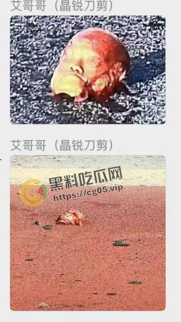 浙江极氪001撞死横穿马路路人 人头分离 整个脑浆撞出来了 现场血腥画面报告