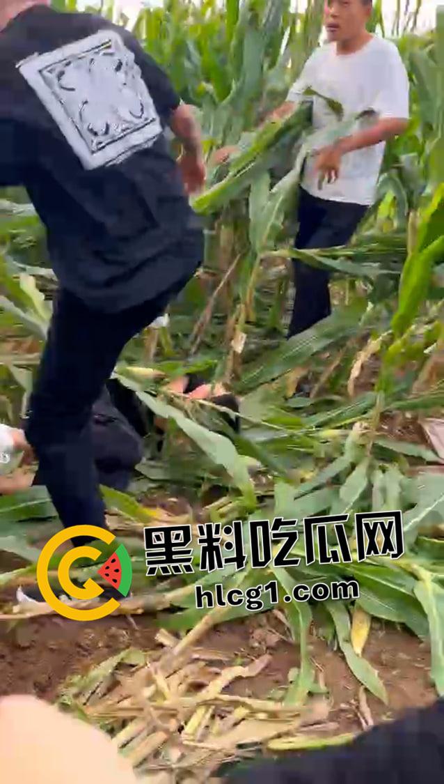 快手大瓜!河南林州红脸社霸凌围殴全集视频! 古惑仔的河南本土化 哥哥你满嘴靠嫩娘真帅