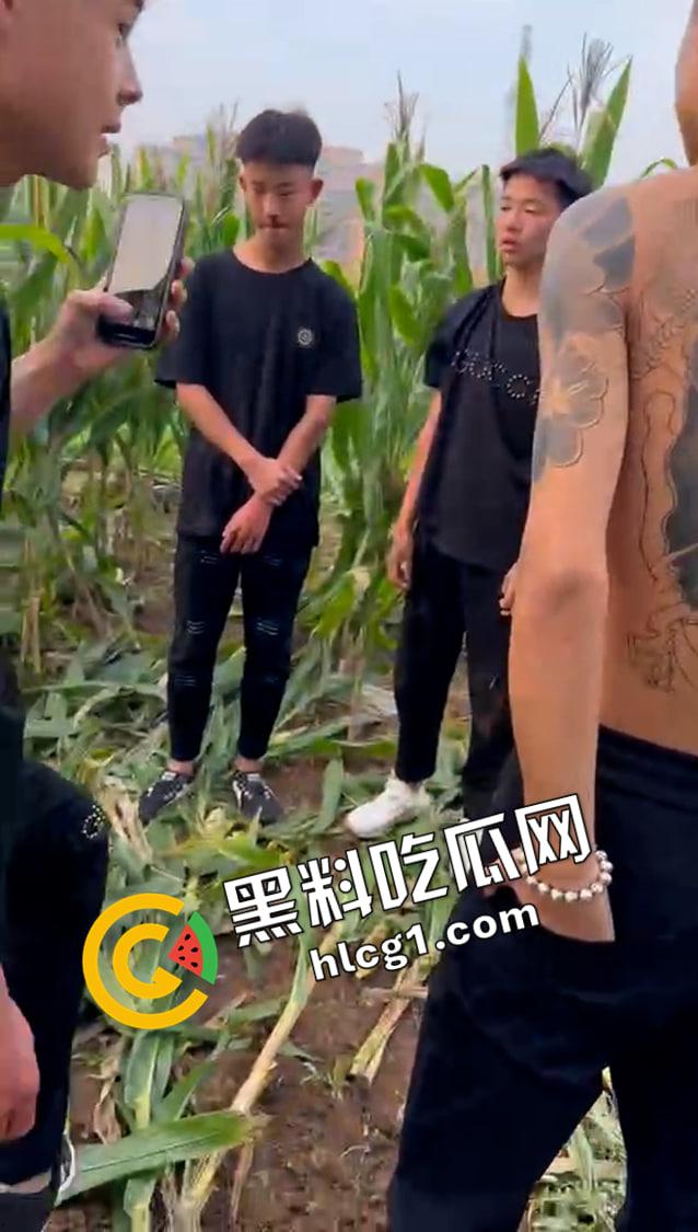 快手大瓜!河南林州红脸社霸凌围殴全集视频! 古惑仔的河南本土化 哥哥你满嘴靠嫩娘真帅