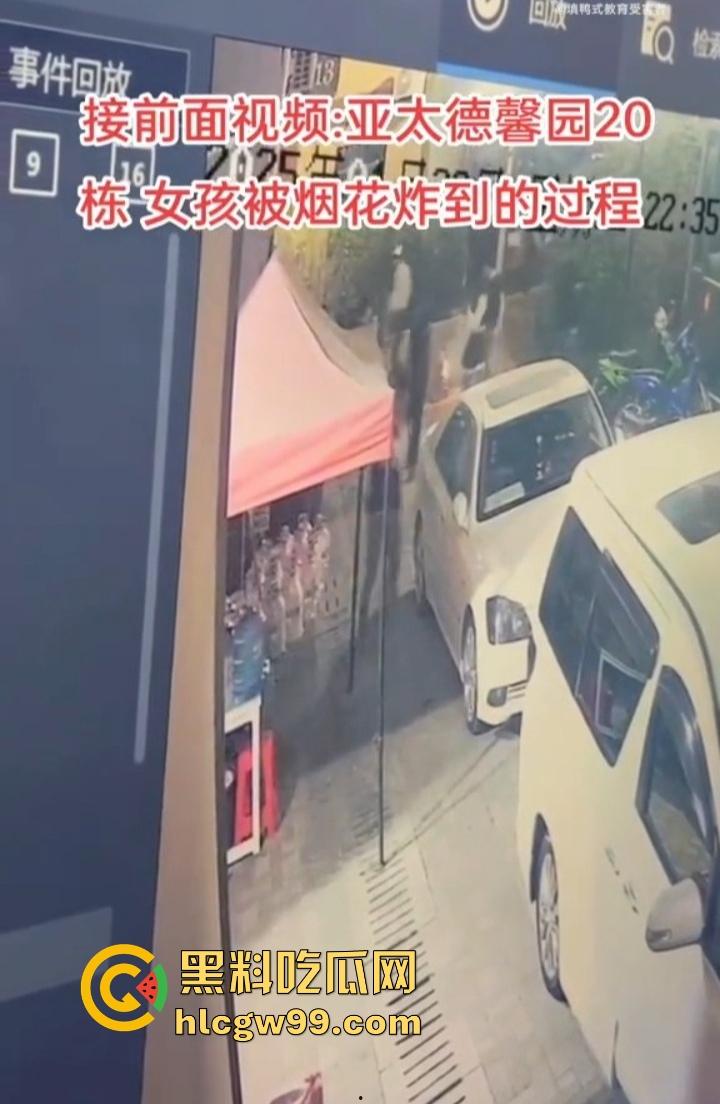 缅甸妙瓦底狗推放烟花庆祝 结果变身炸弹现场 短裙女友当场炸伤 这烟花是买到军火了?