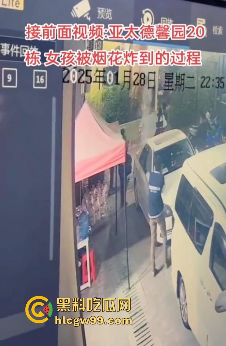 缅甸妙瓦底狗推放烟花庆祝 结果变身炸弹现场 短裙女友当场炸伤 这烟花是买到军火了?