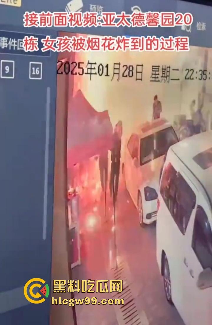 缅甸妙瓦底狗推放烟花庆祝 结果变身炸弹现场 短裙女友当场炸伤 这烟花是买到军火了?