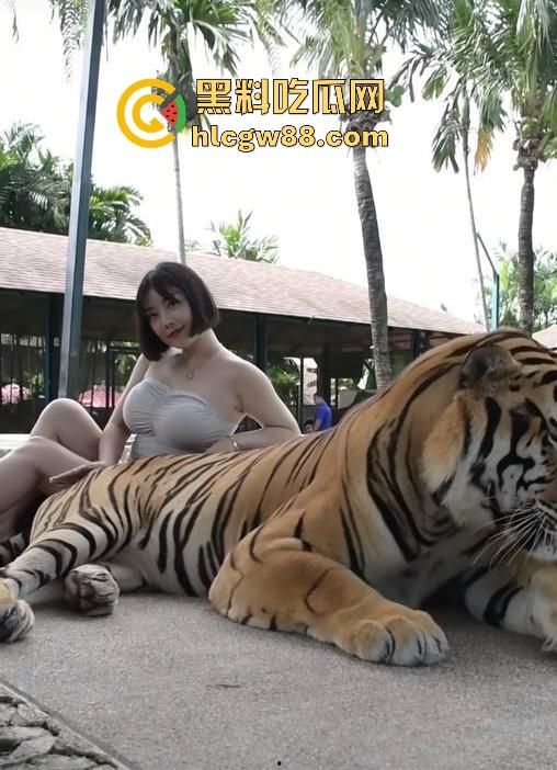 抖音巨乳肥臀反差网红坐拥97万粉丝【兔兔1104】线下约啪肥臀后入 揉奶抖臀 淫叫不断!