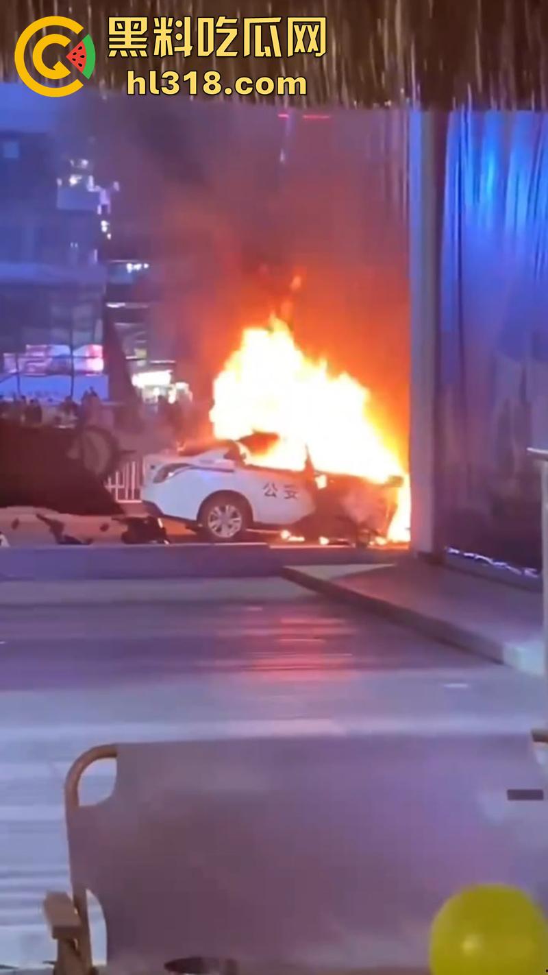 广州南村万博电车警车着火,熊熊大火迅速吞没警车,看来这电车危害,就连警车都不放过啊!