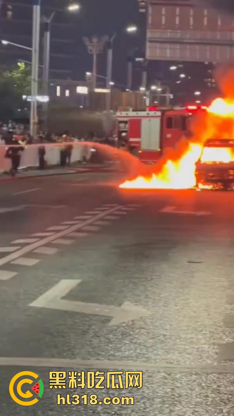 广州南村万博电车警车着火,熊熊大火迅速吞没警车,看来这电车危害,就连警车都不放过啊!