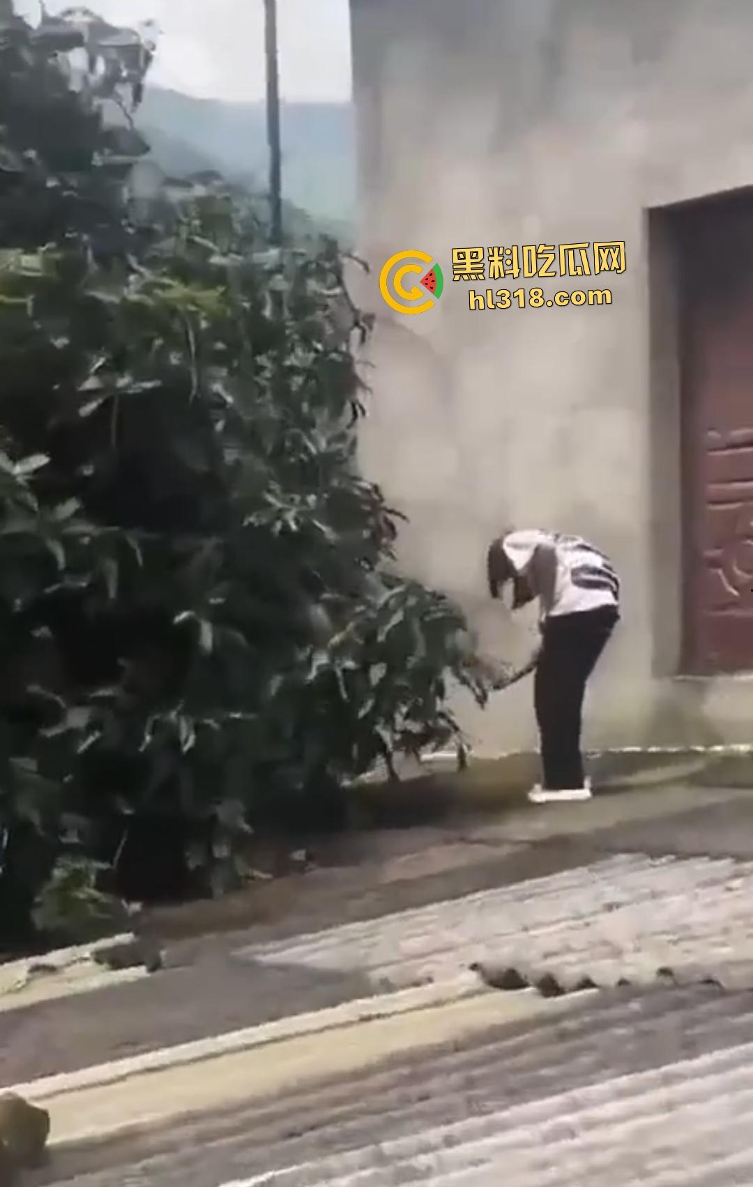集美组团偷芒果翻车!白衣女孩瓦房“跳关”坠落陷阱,谁知这却是房主故意的陷阱!