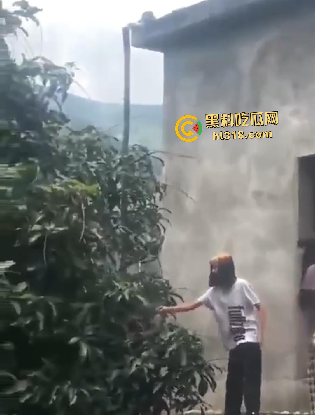 集美组团偷芒果翻车!白衣女孩瓦房“跳关”坠落陷阱,谁知这却是房主故意的陷阱!