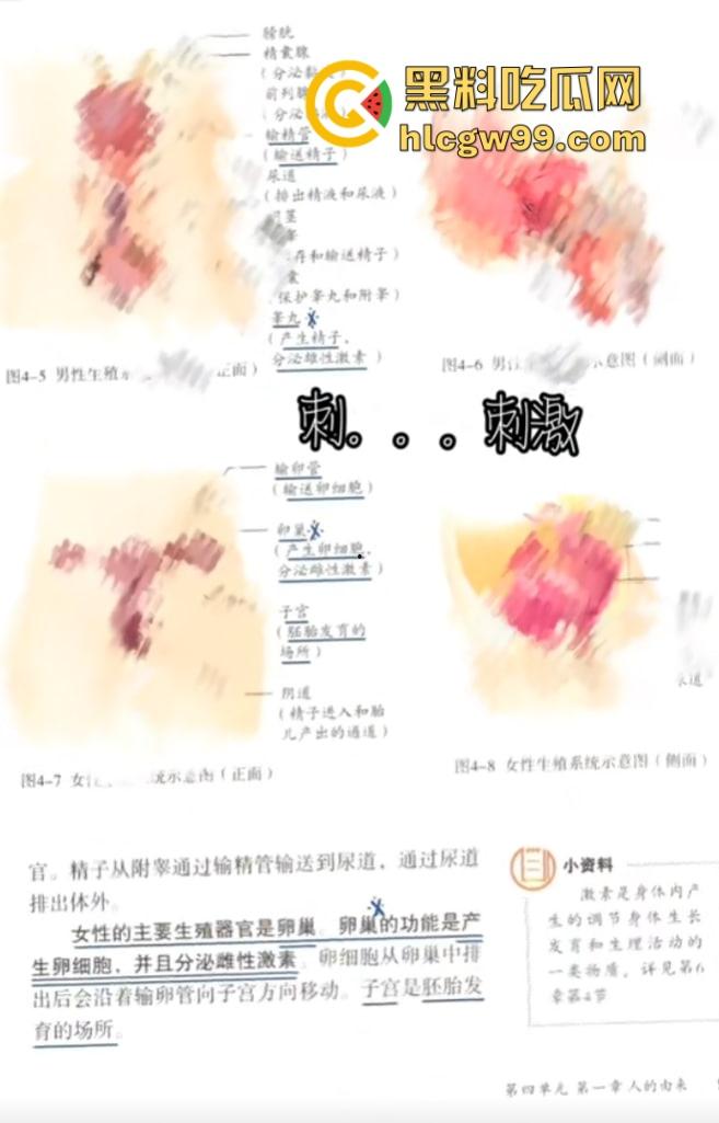 七年级生物课现场社死,老师一本正经讲解鸡巴与阴道的互插关系, 还让全班大声朗读鸡巴,课堂笑死个人!