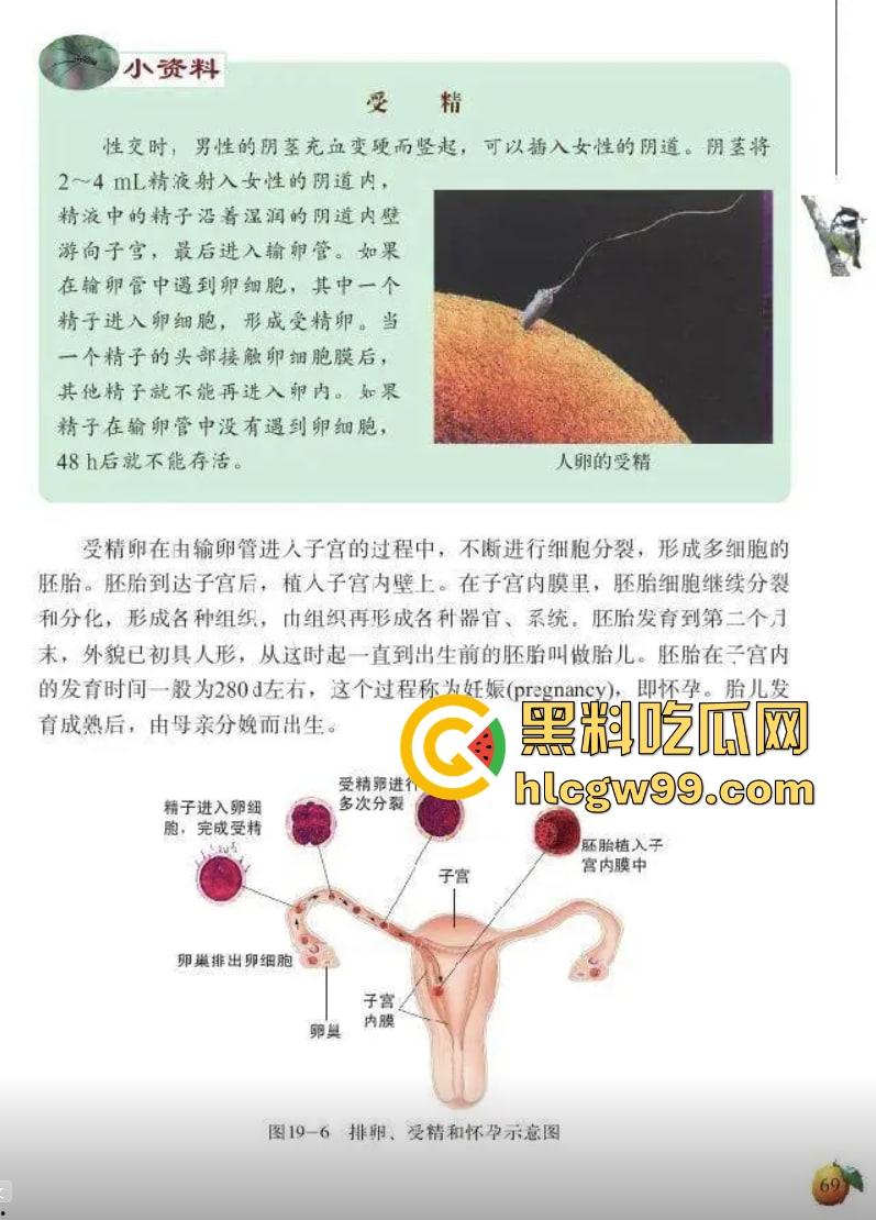 七年级生物课现场社死,老师一本正经讲解鸡巴与阴道的互插关系, 还让全班大声朗读鸡巴,课堂笑死个人!