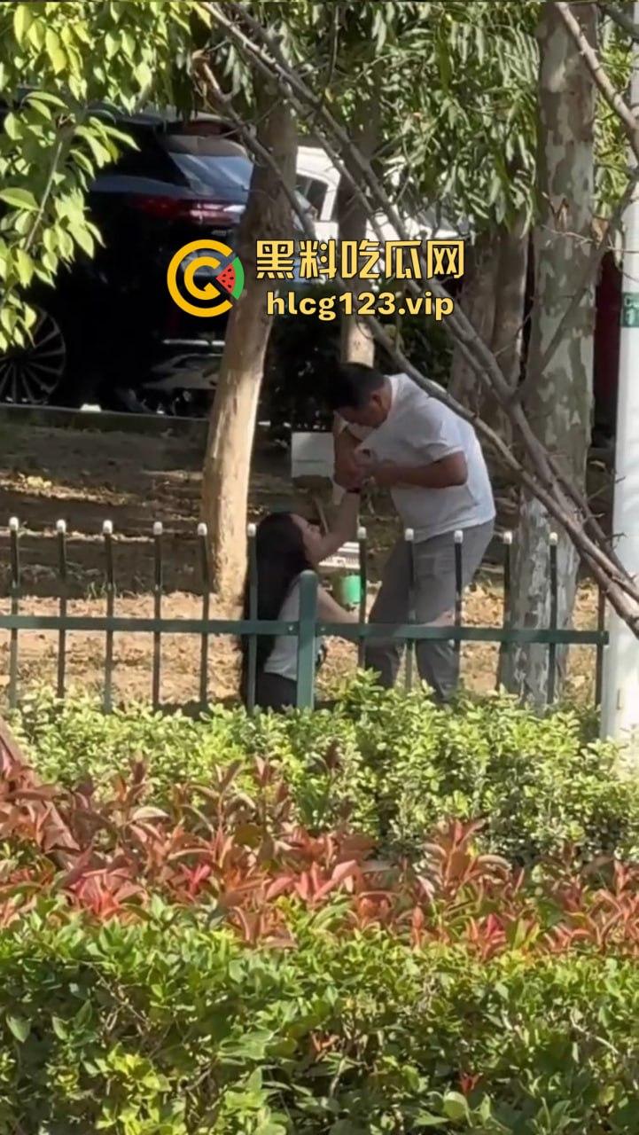 安徽芜湖长江南路惊现大尺度现场！为爱马仕鳄鱼皮，女的当街给口，鸡瘾犯了拼了命！