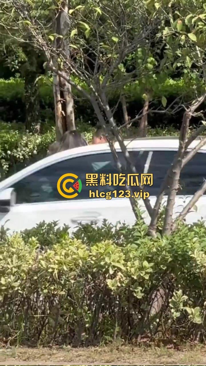 安徽芜湖长江南路惊现大尺度现场!为爱马仕鳄鱼皮,女的当街给口,鸡瘾犯了拼了命!