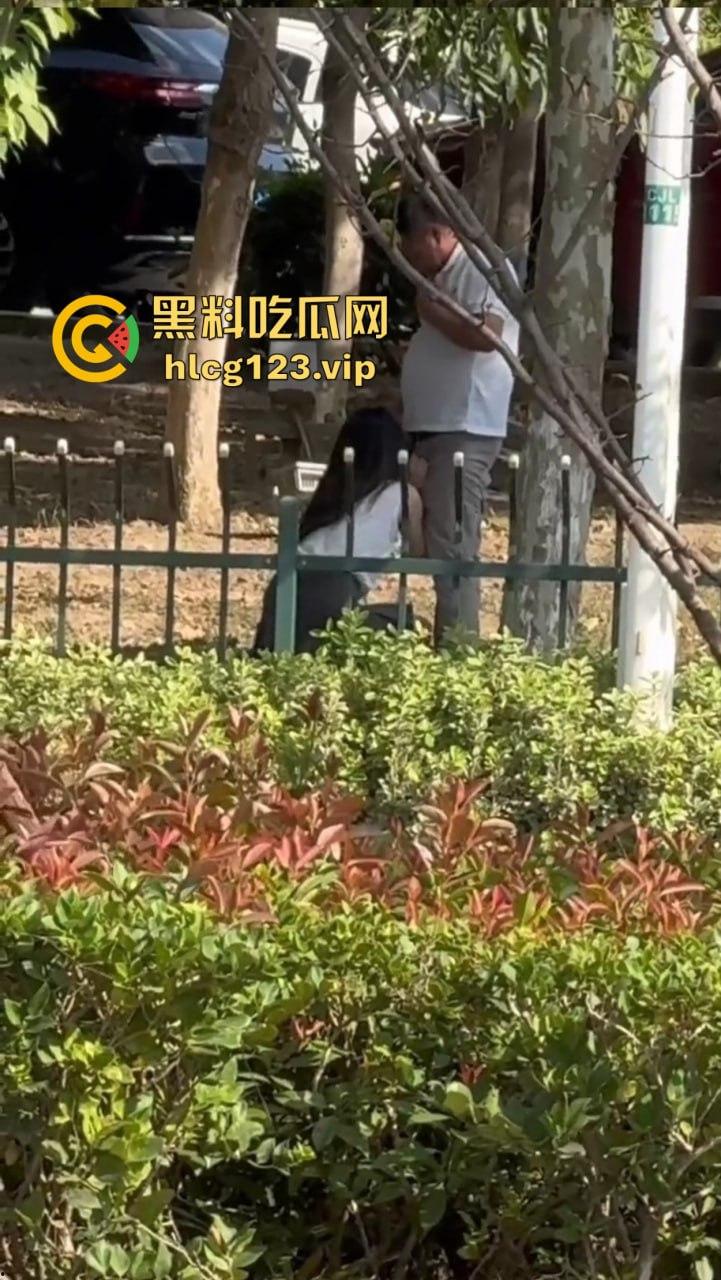 安徽芜湖长江南路惊现大尺度现场!为爱马仕鳄鱼皮,女的当街给口,鸡瘾犯了拼了命!