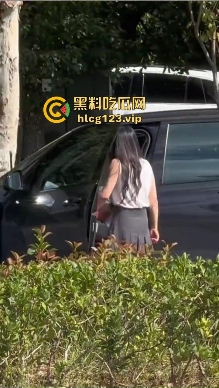安徽芜湖长江南路惊现大尺度现场!为爱马仕鳄鱼皮,女的当街给口,鸡瘾犯了拼了命!