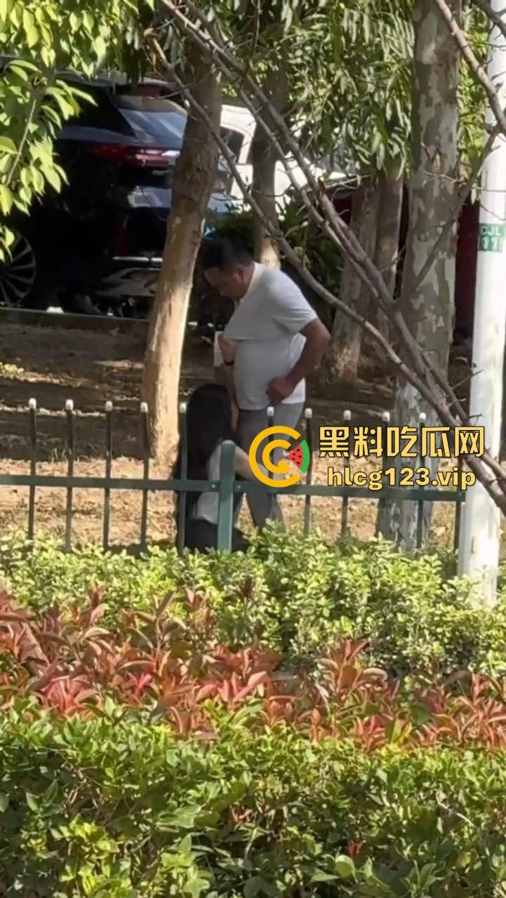安徽芜湖长江南路惊现大尺度现场!为爱马仕鳄鱼皮,女的当街给口,鸡瘾犯了拼了命!