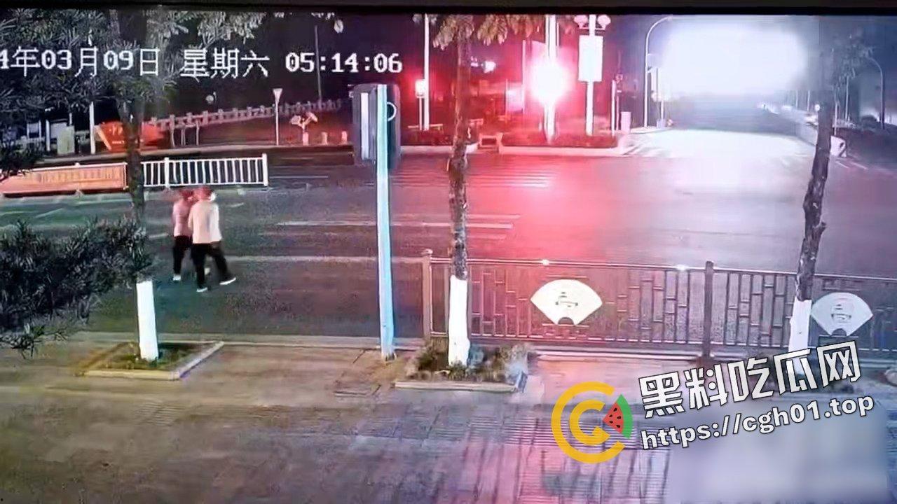 随时下架!广东富二代驾驶阿尔法罗密欧车速过快撞飞两个横穿马路的老太太!