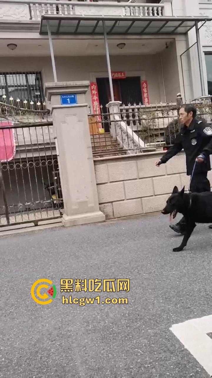 浙江义乌南山区地毯式搜索凶手!群众瑟瑟发抖,警方封锁整片山林!