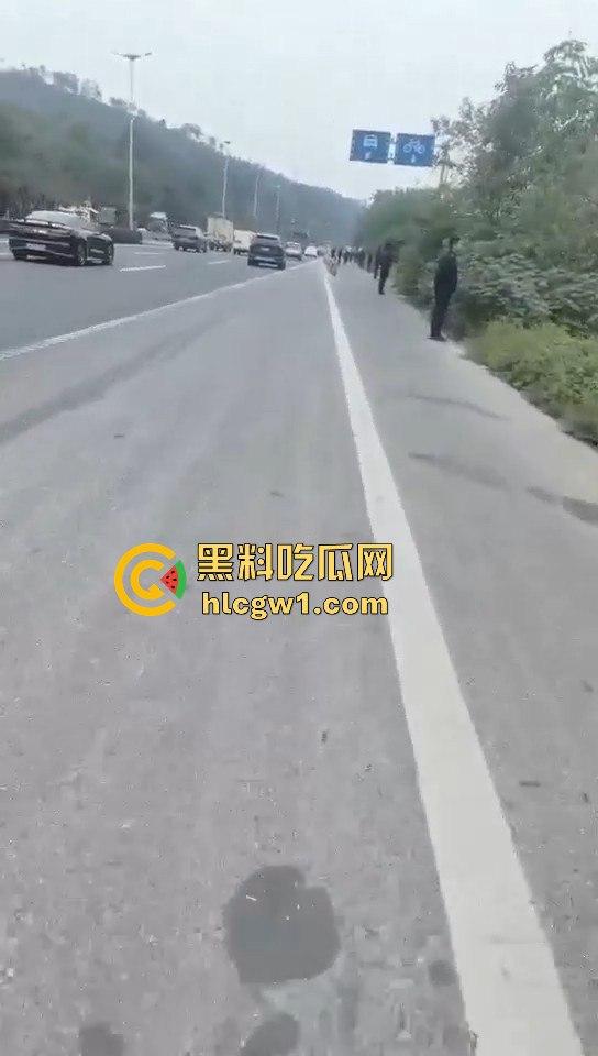 浙江义乌南山区地毯式搜索凶手!群众瑟瑟发抖,警方封锁整片山林!