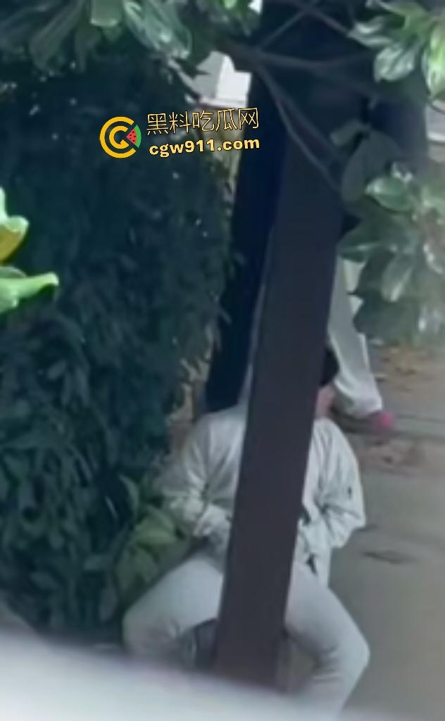 徐州技师学院情侣凉亭,网红小树林户外野战,高颜值女技师骑乘男友隔裤狂磨,精液淫水搞湿裤裆!