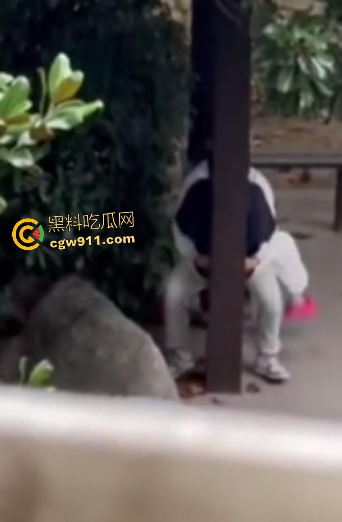 徐州技师学院情侣凉亭,网红小树林户外野战,高颜值女技师骑乘男友隔裤狂磨,精液淫水搞湿裤裆!