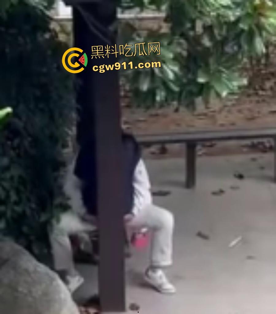 徐州技师学院情侣凉亭,网红小树林户外野战,高颜值女技师骑乘男友隔裤狂磨,精液淫水搞湿裤裆!