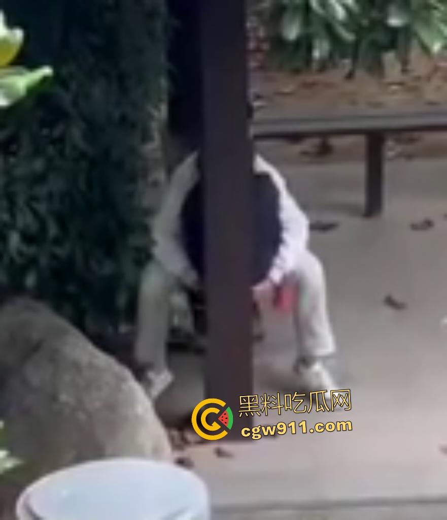 徐州技师学院情侣凉亭,网红小树林户外野战,高颜值女技师骑乘男友隔裤狂磨,精液淫水搞湿裤裆!