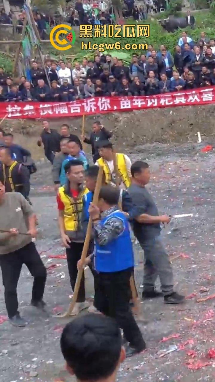 牛王陨落!贵州七十二寨斗牛王小山虎与神威大将军相撞同亡 残忍现场视频流出