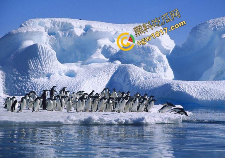 南极科考内部视频劲爆流出:30种未知致命生物!从“死亡之球”到“僵尸蠕虫”,史前病毒横行,足以令人毛骨悚然!