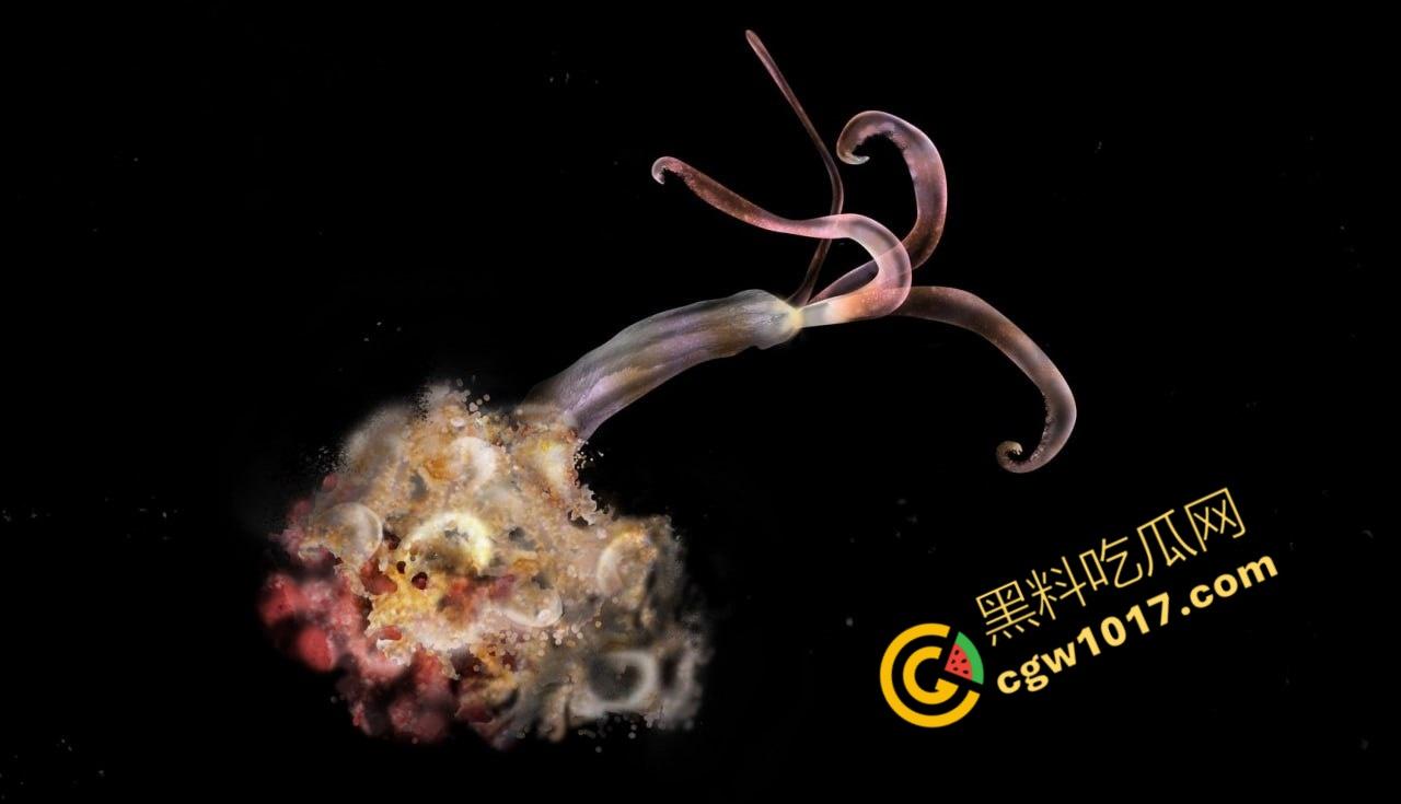 南极科考内部视频劲爆流出:30种未知致命生物!从“死亡之球”到“僵尸蠕虫”,史前病毒横行,足以令人毛骨悚然!