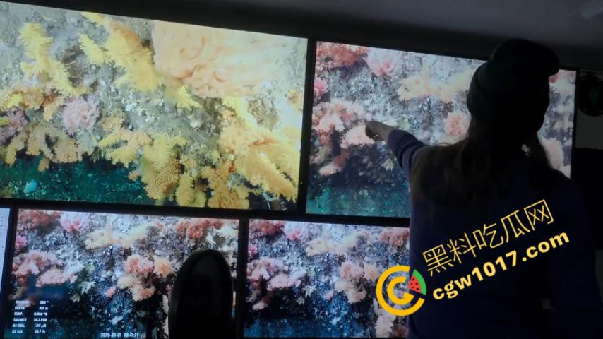 南极科考内部视频劲爆流出:30种未知致命生物!从“死亡之球”到“僵尸蠕虫”,史前病毒横行,足以令人毛骨悚然!