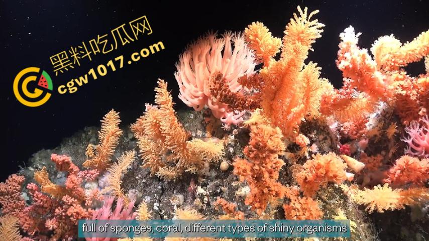 南极科考内部视频劲爆流出:30种未知致命生物!从“死亡之球”到“僵尸蠕虫”,史前病毒横行,足以令人毛骨悚然!