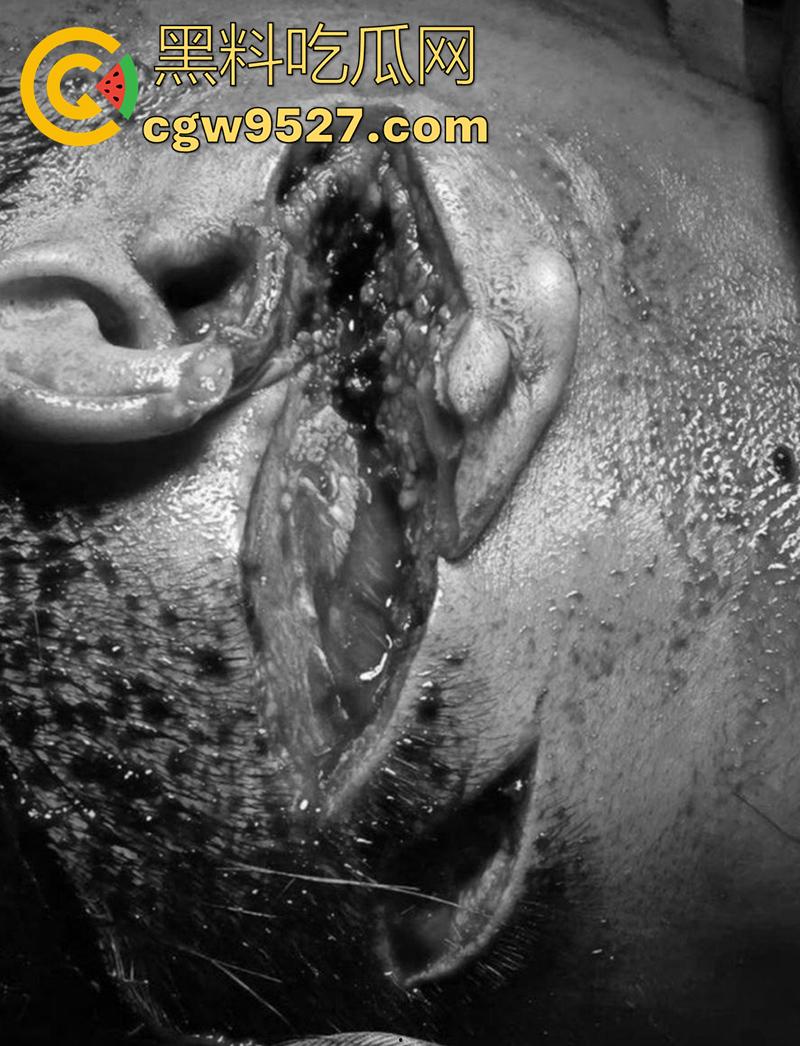 越南海防水果批发市场,发生重大砍人事件,男子手持菜刀疯狂劈砍,导致三人身受重伤,现场视频流出!