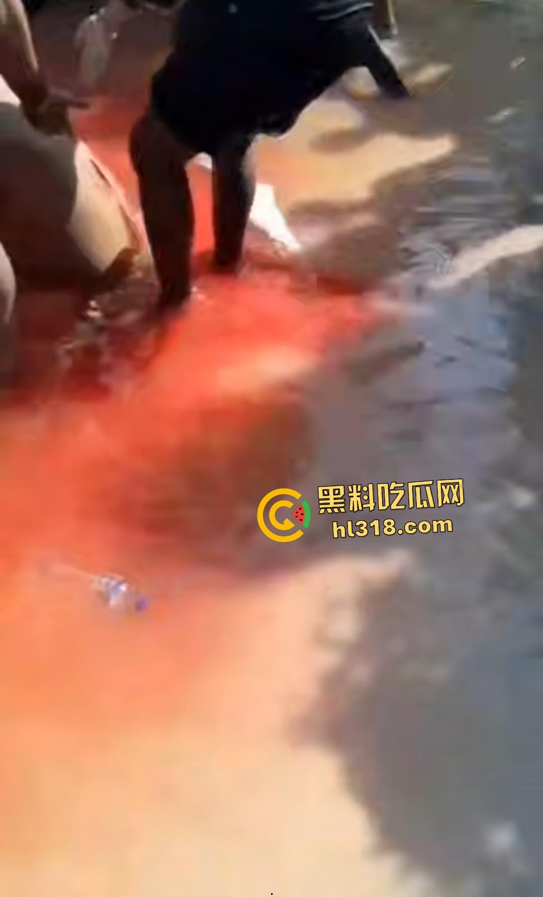 黑人男子海边遭螺旋桨血腥绞杀!下半身肉烂血染红海,旁人妄图复原断肢,谁知身体差点变两半!