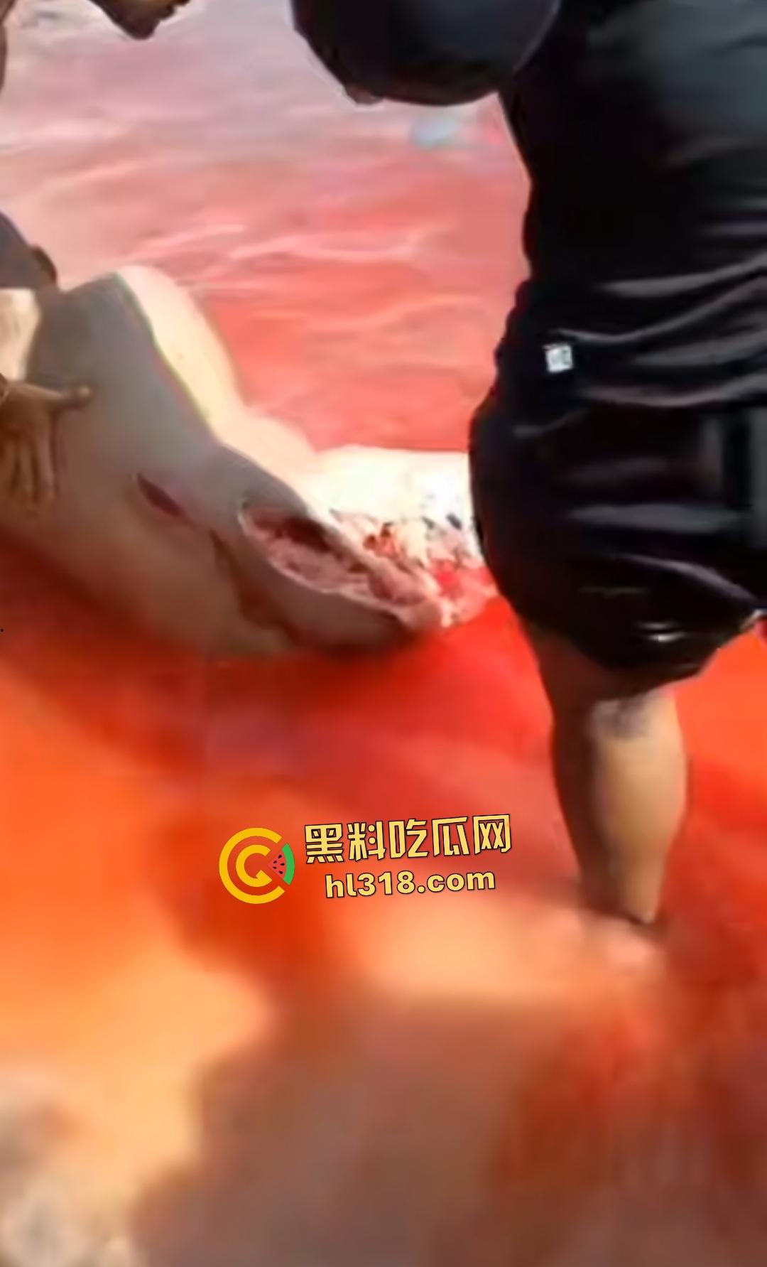 黑人男子海边遭螺旋桨血腥绞杀!下半身肉烂血染红海,旁人妄图复原断肢,谁知身体差点变两半!