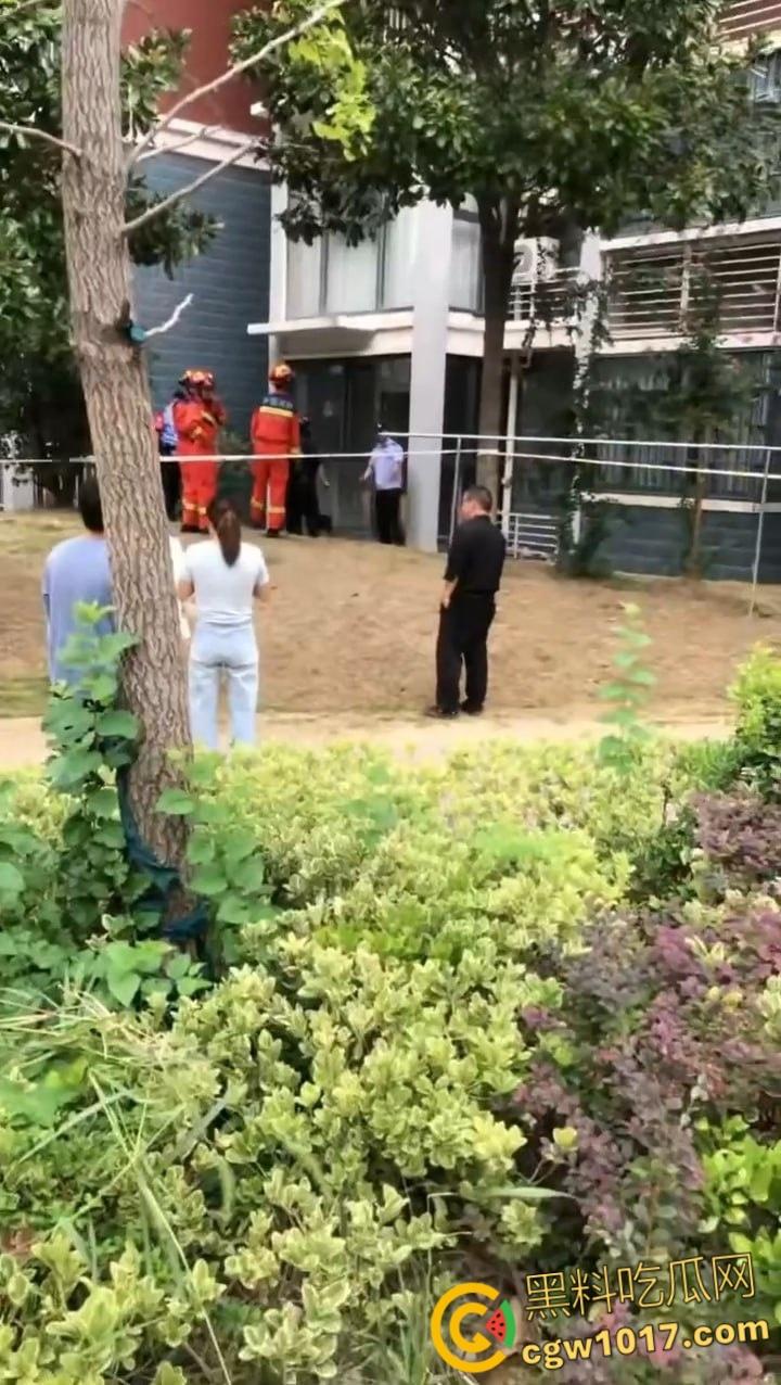 安徽马鞍山和县京都公馆，一头野猪将居民门撞坏后跑进居民家里，公安携带猎犬和道具将野猪麻醉 ！