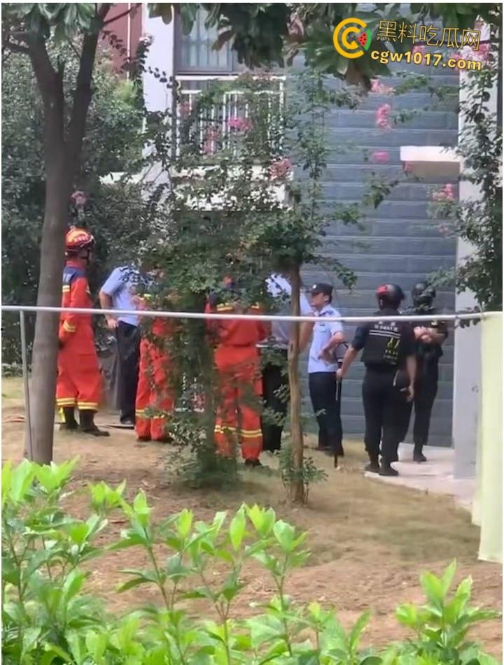 安徽马鞍山和县京都公馆,一头野猪将居民门撞坏后跑进居民家里,公安携带猎犬和道具将野猪麻醉 !