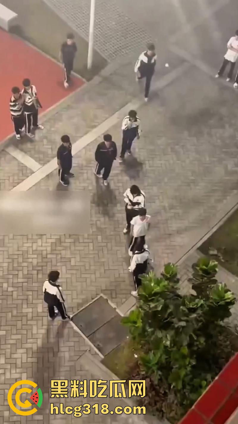 我拿你当兄弟你竟然操我妈?高中生把同学母亲给操怀孕了,儿子知道后直接在学校打起来了!