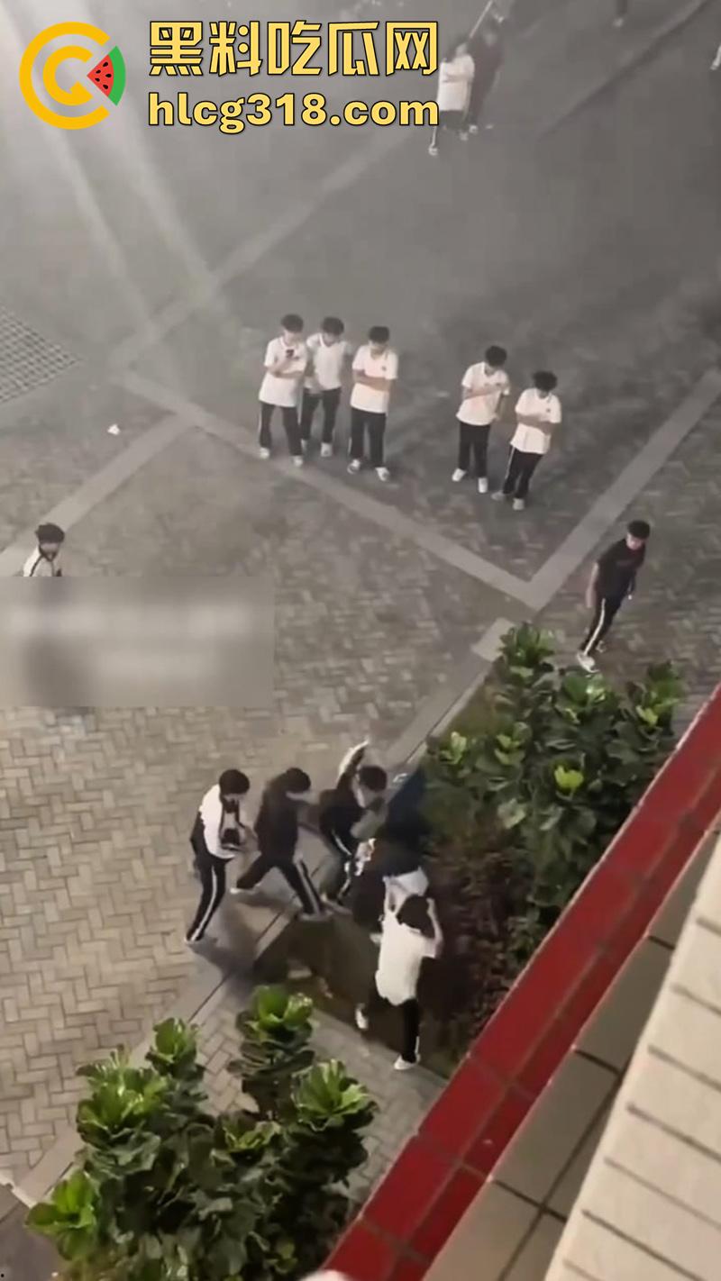 我拿你当兄弟你竟然操我妈?高中生把同学母亲给操怀孕了,儿子知道后直接在学校打起来了!