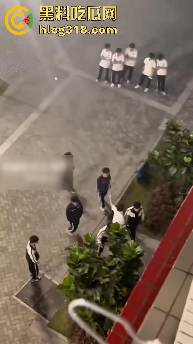 我拿你当兄弟你竟然操我妈?高中生把同学母亲给操怀孕了,儿子知道后直接在学校打起来了!