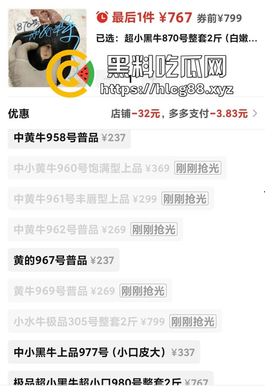 仿真牛逼飞机吞屌神器,各式号码选配让你爽,谁买这玩意撸?印度阿三日牛舔逼狂爱,卖他们直接当首富!