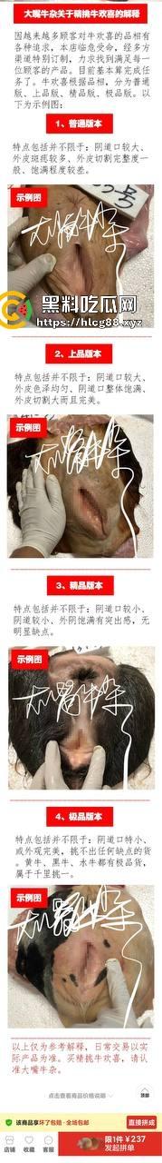 仿真牛逼飞机吞屌神器,各式号码选配让你爽,谁买这玩意撸?印度阿三日牛舔逼狂爱,卖他们直接当首富!