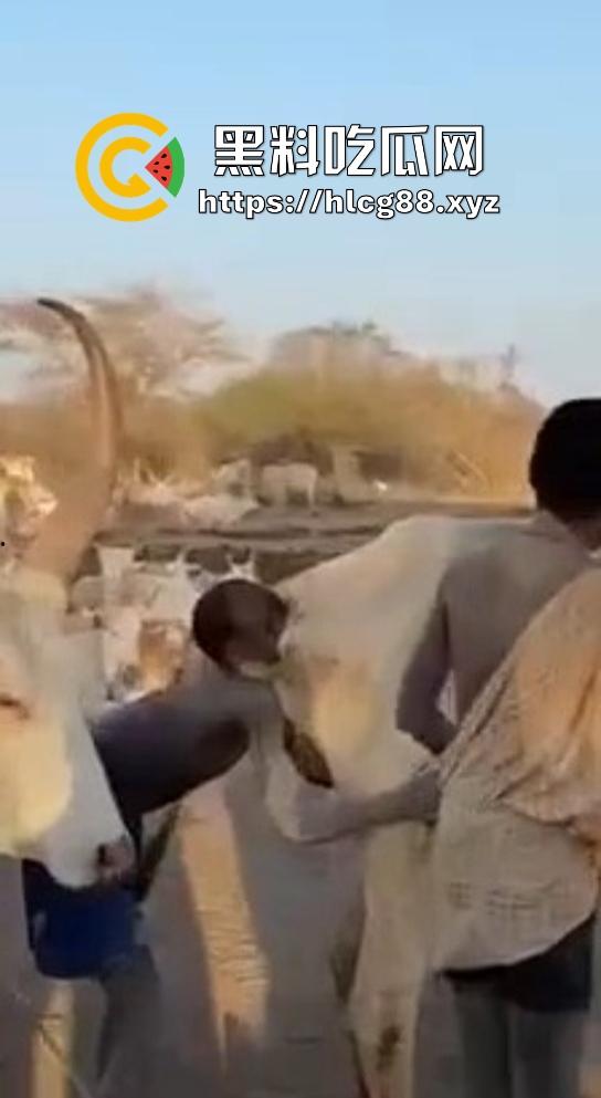 仿真牛逼飞机吞屌神器,各式号码选配让你爽,谁买这玩意撸?印度阿三日牛舔逼狂爱,卖他们直接当首富!