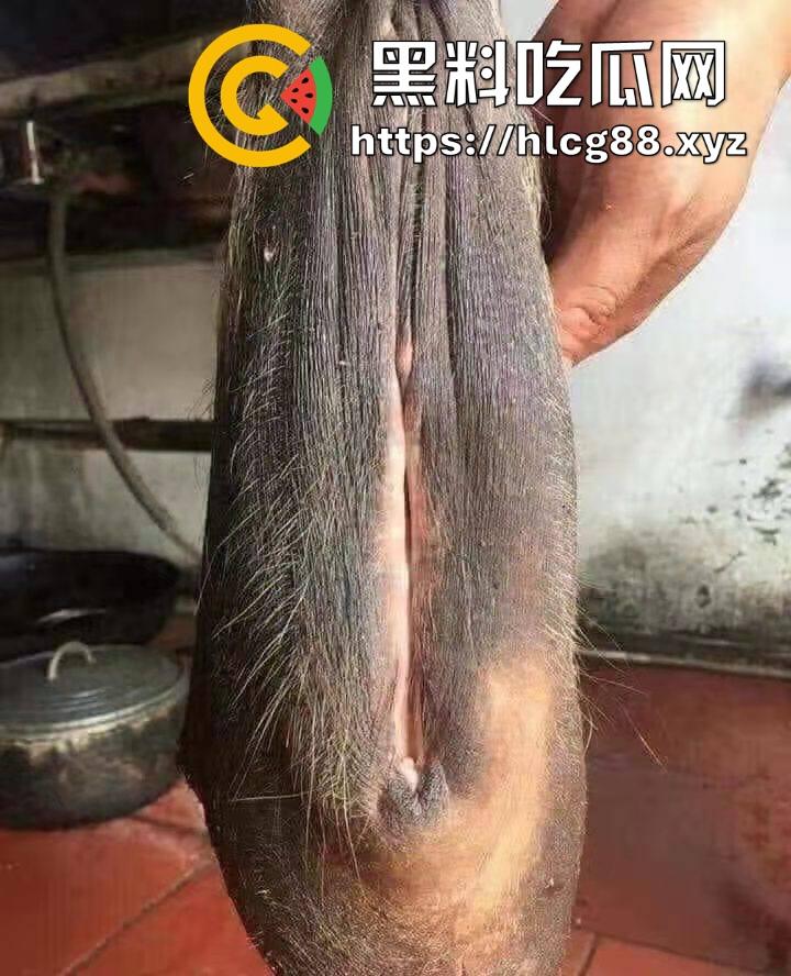 仿真牛逼飞机吞屌神器,各式号码选配让你爽,谁买这玩意撸?印度阿三日牛舔逼狂爱,卖他们直接当首富!