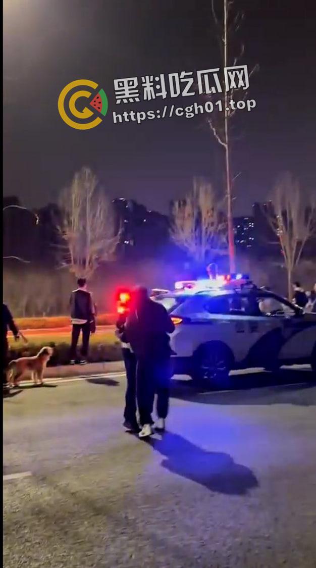 郑州精神小伙半夜鬼火炸街 挑衅交警 追后大混战 中国也有自己的佛罗里达州