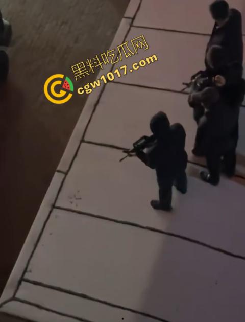 惊讶!宝清市街头惊现巨熊,警察开枪击毙,血洒街头,网友热议动物保护与城市安全!