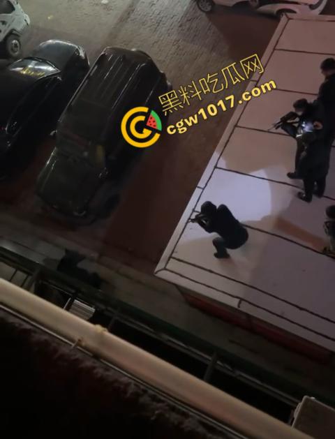 惊讶!宝清市街头惊现巨熊,警察开枪击毙,血洒街头,网友热议动物保护与城市安全!