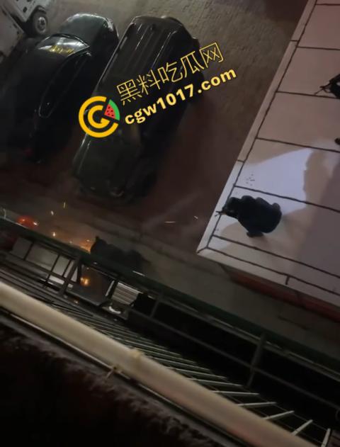 惊讶!宝清市街头惊现巨熊,警察开枪击毙,血洒街头,网友热议动物保护与城市安全!